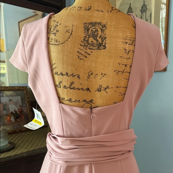 Dress the Population “Dana” Shirred Waist Dress in Light Mauve Size Medium NWT - Picture 9 of 16